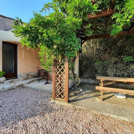 Le Lodge Des Chenes Brousses-et-Villaret Luaran gambar