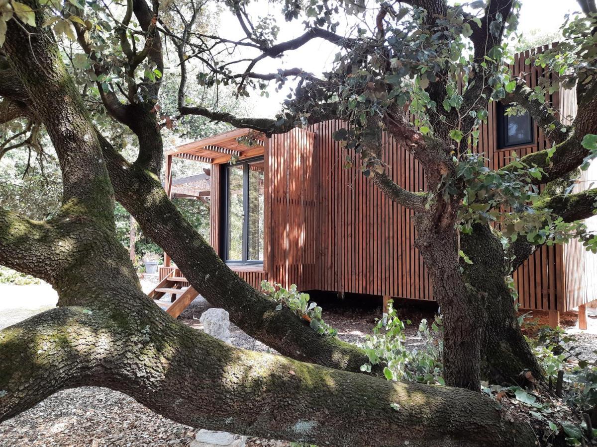 Le Lodge Des Chenes Brousses-et-Villaret Luaran gambar
