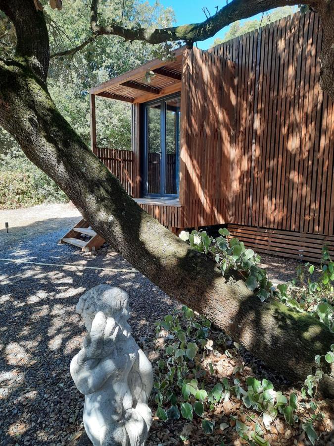 Le Lodge Des Chenes Brousses-et-Villaret Luaran gambar